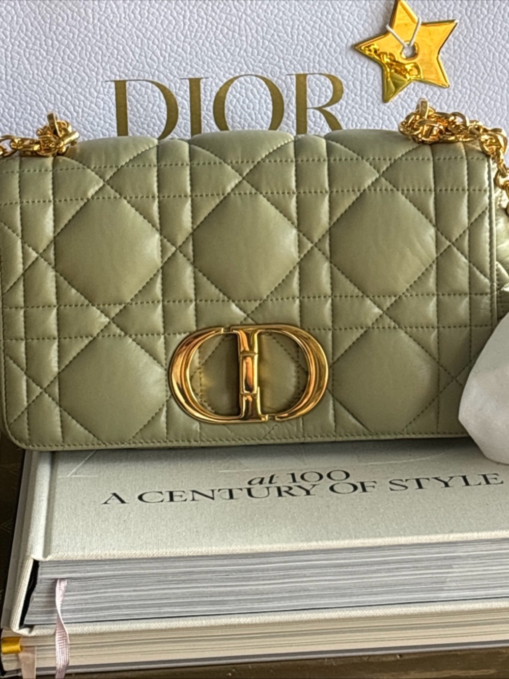 Dior Quilted Crossbody medium Bag in Sage Green with Gold CD Accent